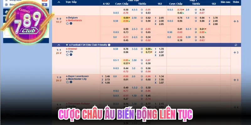 Cược châu Âu biến động liên tục